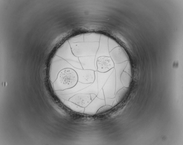 X0000090710733200708171906