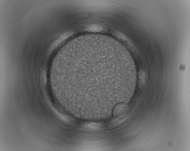 X0000090710734200708171906