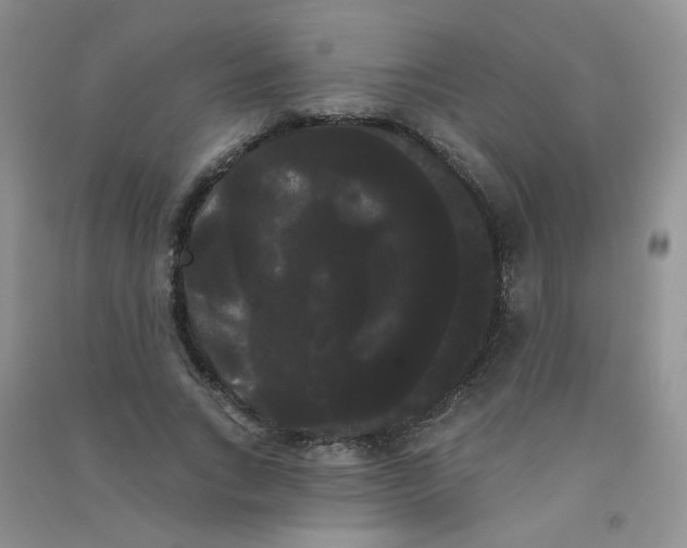 X0000090710735200708171906