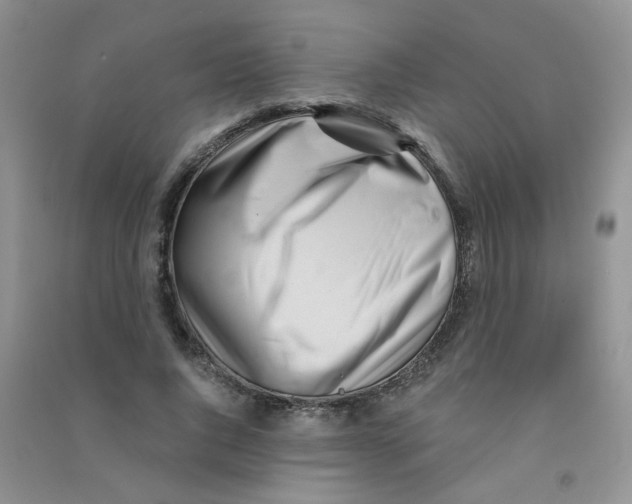 X0000090710736200708171906