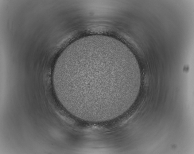 X0000090710737200708171906