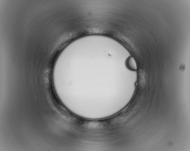 X0000090710738200708171906