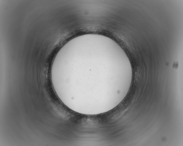 X0000090710739200708171906