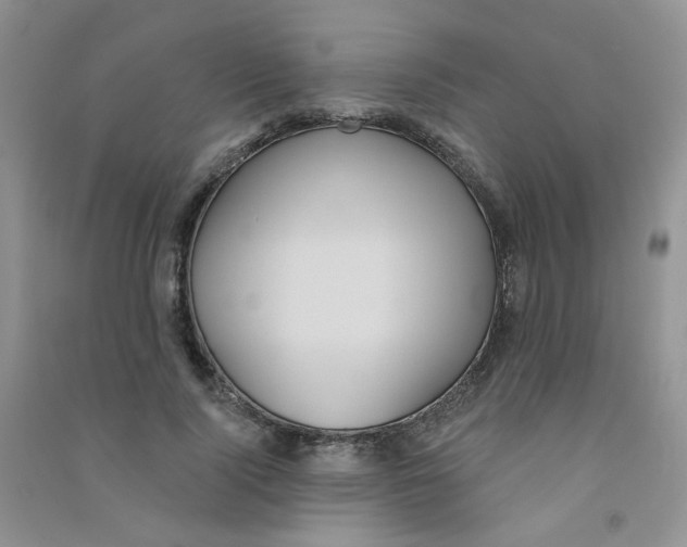 X0000090710740200708171906