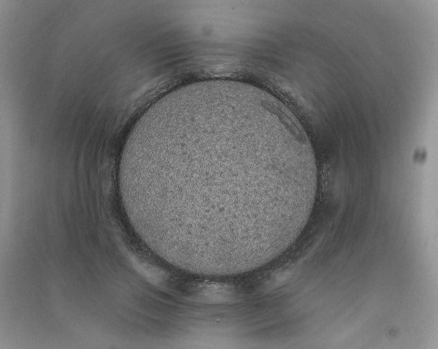 X0000090710741200708171906