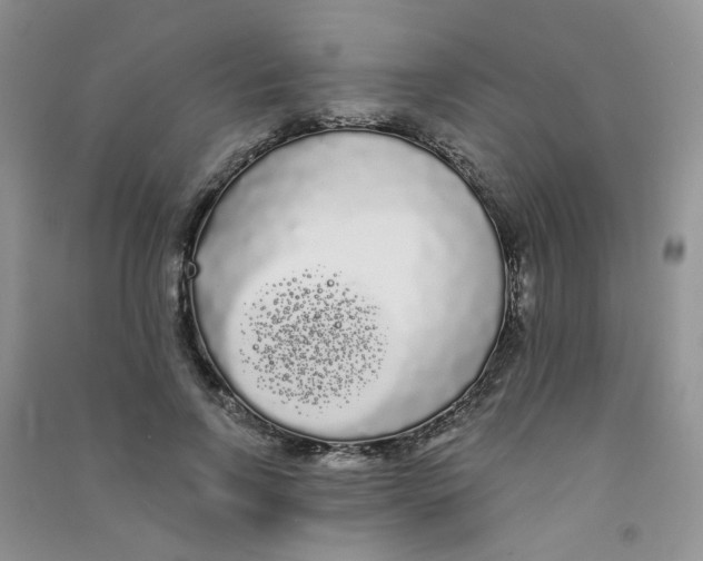 X0000090710742200708171906