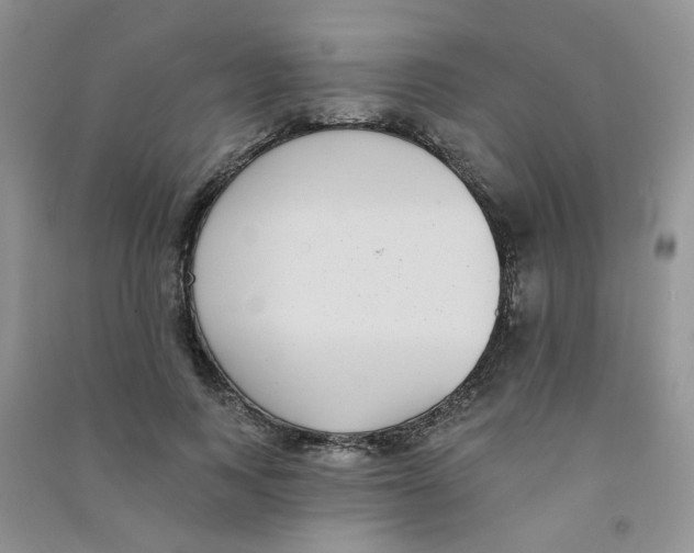 X0000090710743200708171906