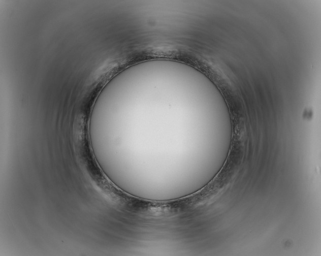 X0000090710744200708171906