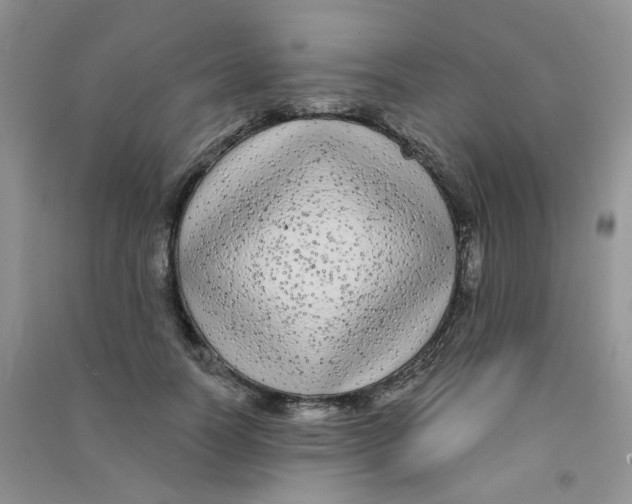 X0000090710746200708171906