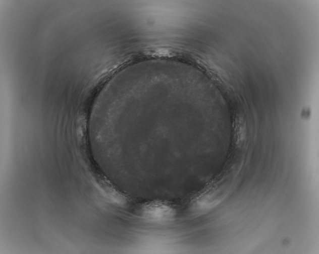 X0000090710747200708171906