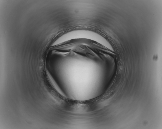 X0000090710748200708171906