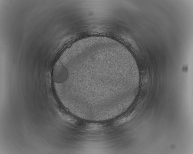 X0000090710749200708171906