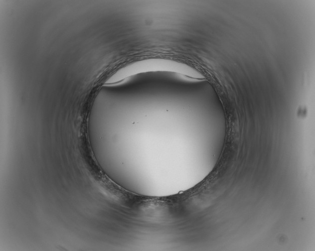 X0000090710750200708171906