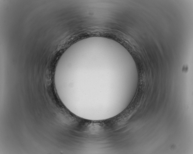 X0000090710751200708171906