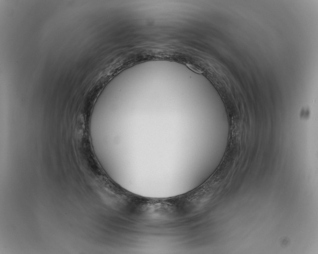 X0000090710752200708171906