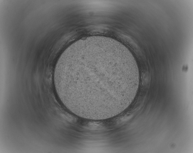 X0000090710753200708171906