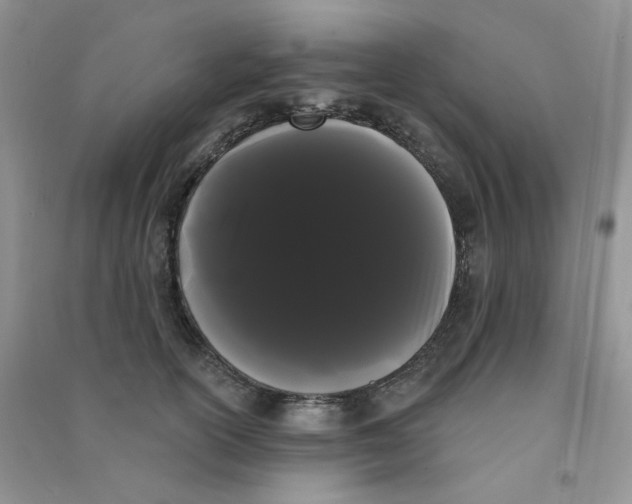 X0000090710754200708171906