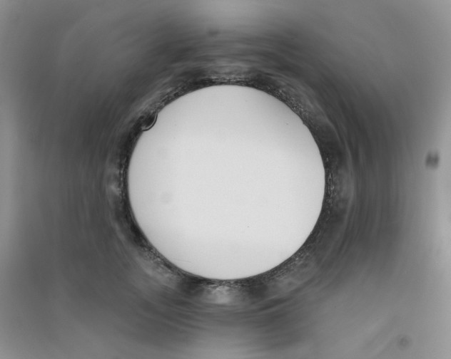 X0000090710755200708171906