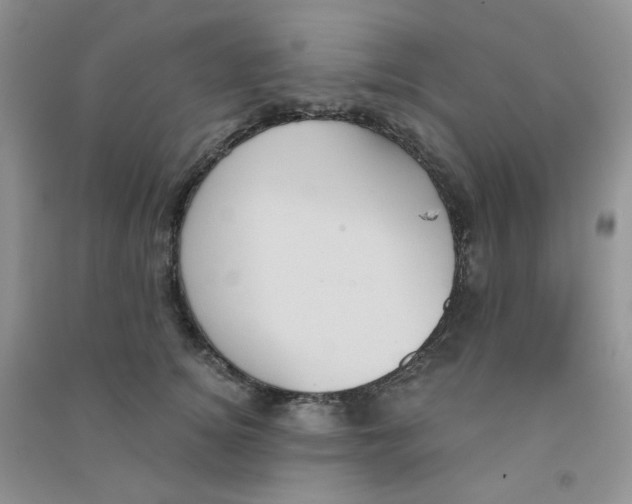 X0000090710756200708171906