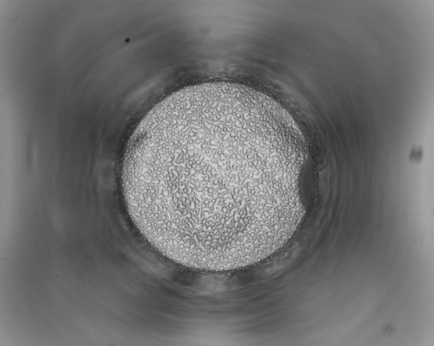 X0000090710757200708171906