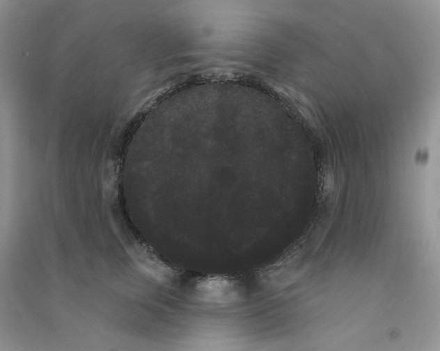 X0000090710759200708171906