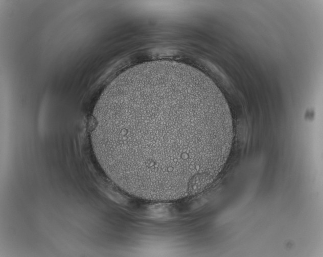 X0000090710761200708171906