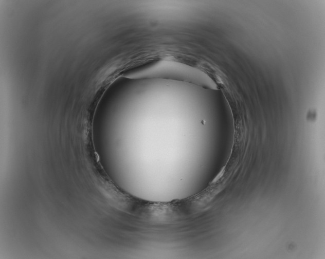 X0000090710762200708171906