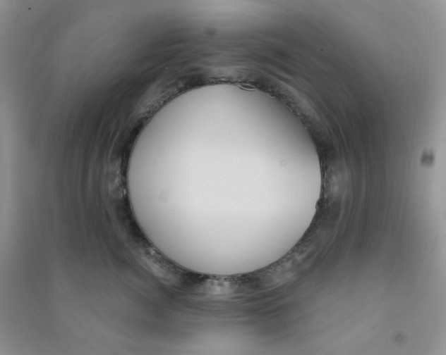 X0000090710764200708171906