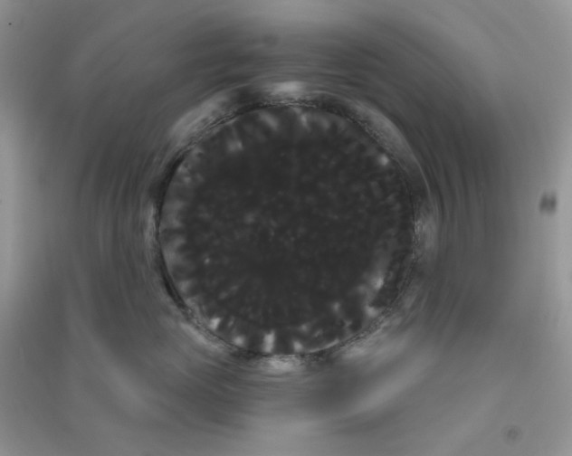 X0000090710765200708171906