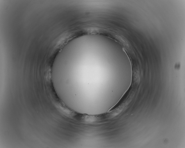 X0000090710766200708171906