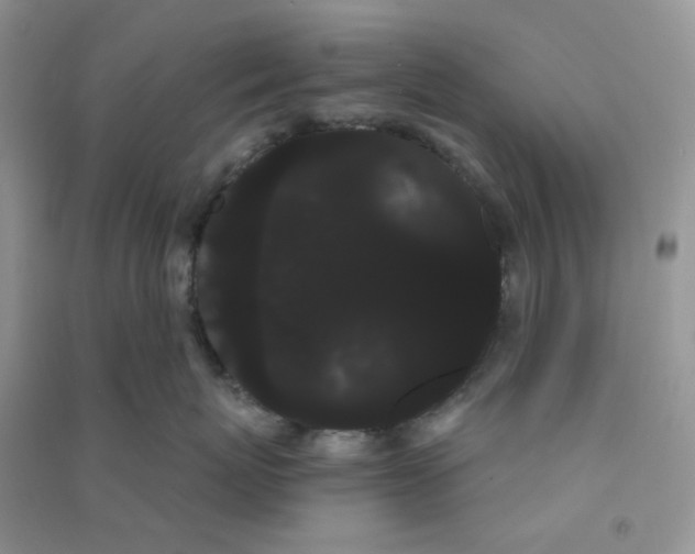 X0000090710767200708171906