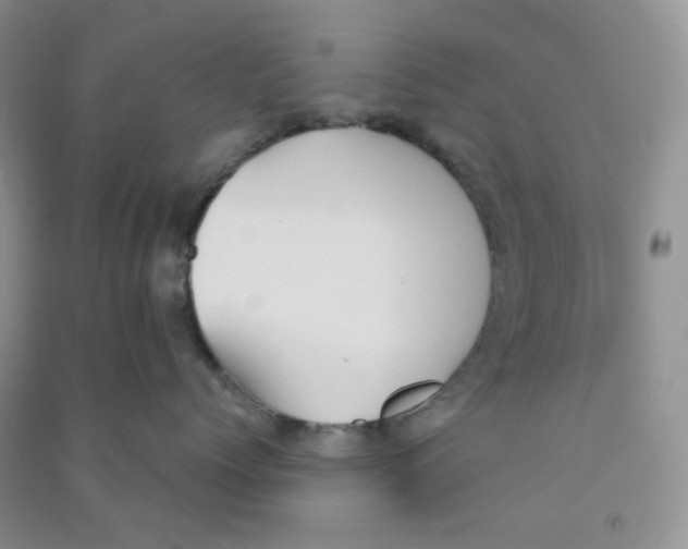 X0000090710768200708171906