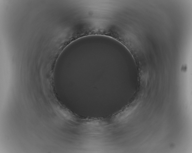 X0000090710769200708171906