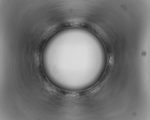 X0000090710771200708171906