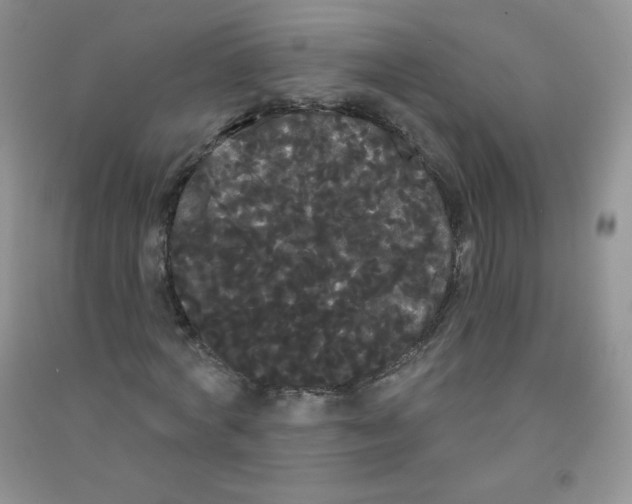 X0000090710772200708171906