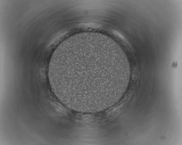 X0000090710774200708171906