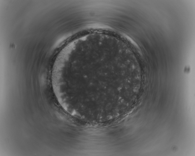 X0000090710775200708171906