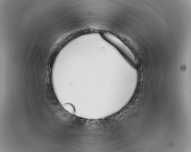 X0000090710776200708171906