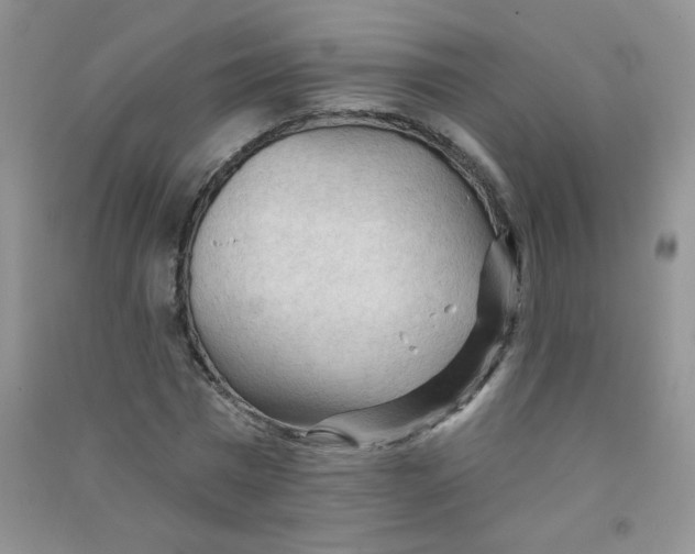 X0000090710777200708171905