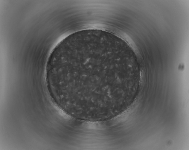 X0000090710780200708171905