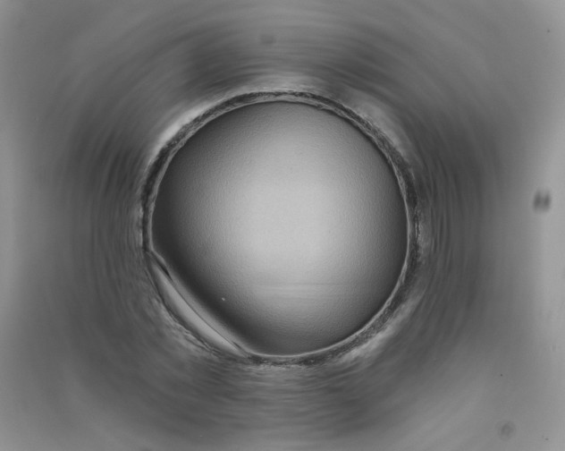 X0000090710781200708171905