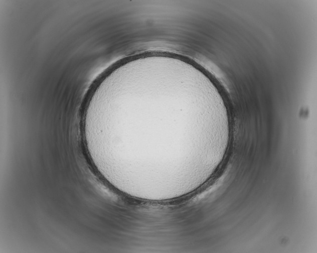 X0000090710782200708171905