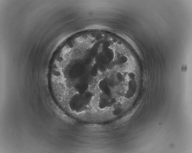 X0000090710783200708171905