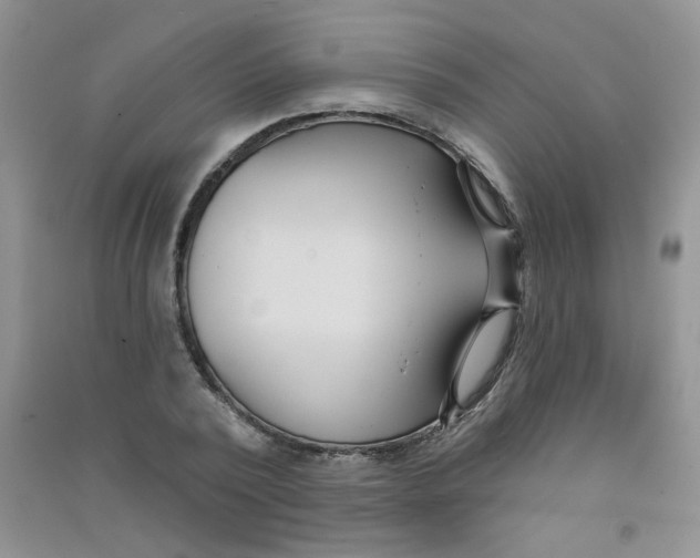 X0000090710784200708171905