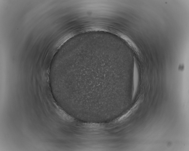 X0000090710785200708171905