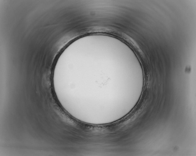 X0000090710786200708171905