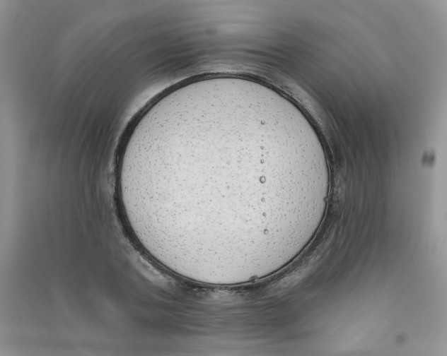 X0000090710787200708171905