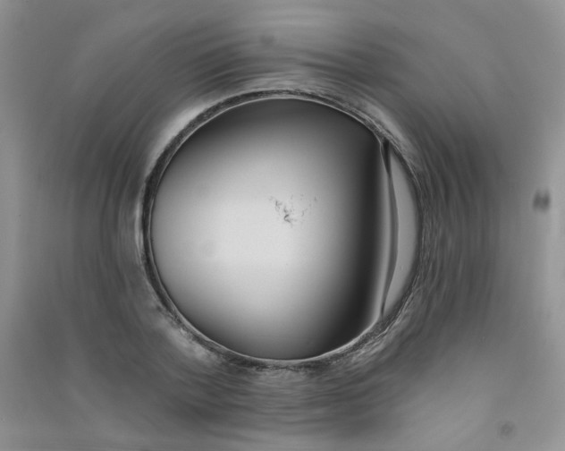 X0000090710788200708171905