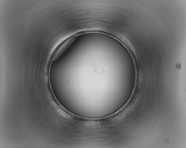 X0000090710789200708171905