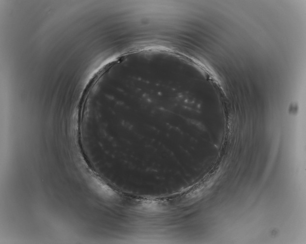 X0000090710790200708171905